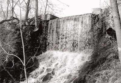 marine-upper-pond-falls-fitz