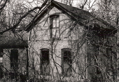 vines-on-brick-house-fitz