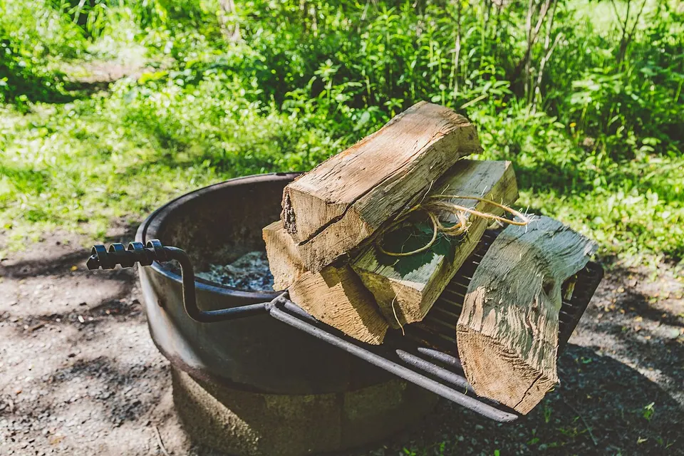 Firewood - William O'Brien State Park, Minnesota
