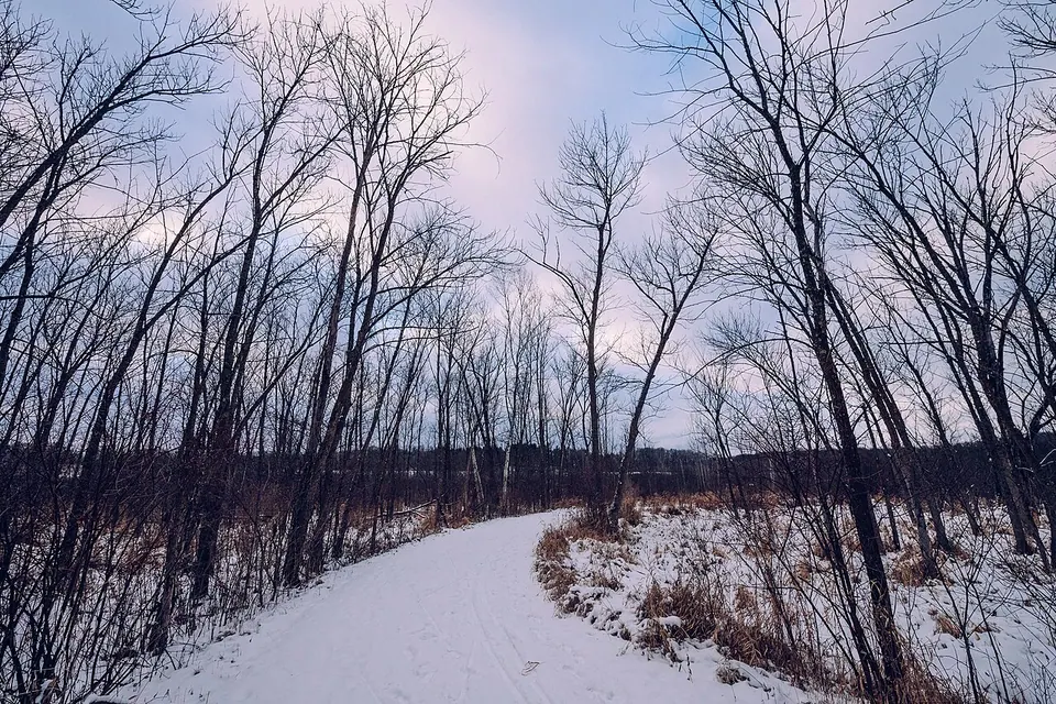 Savanna Trail - Winter at William O'Brien State Park, Minnesota