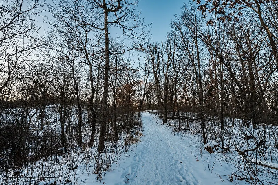 Southern Trails in Winter, William O'Brien State Park, Minnesota