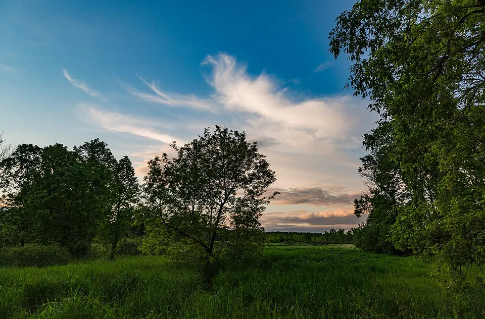 Sunset - William O'Brien State Park, Minnesota