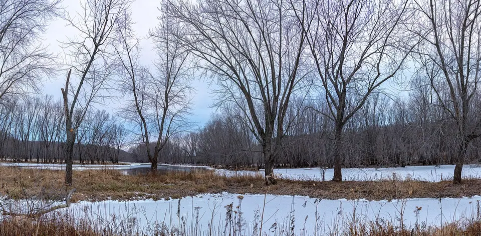 Winter on the St. Croix River, Minnesota - William O'Brien State Park